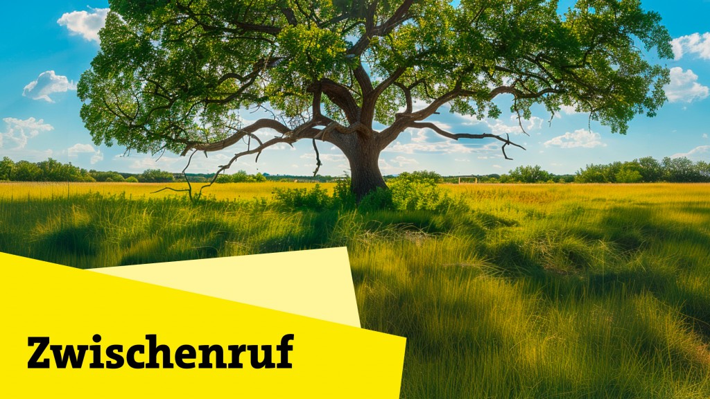 Zwischenruf