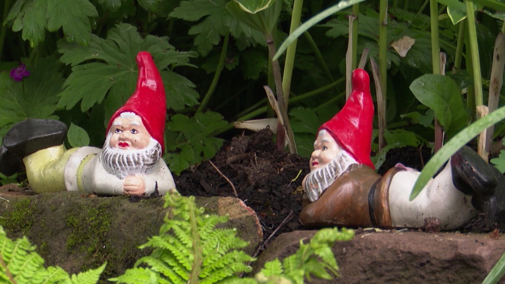 Foto: Gartenzwerge auf Steinen