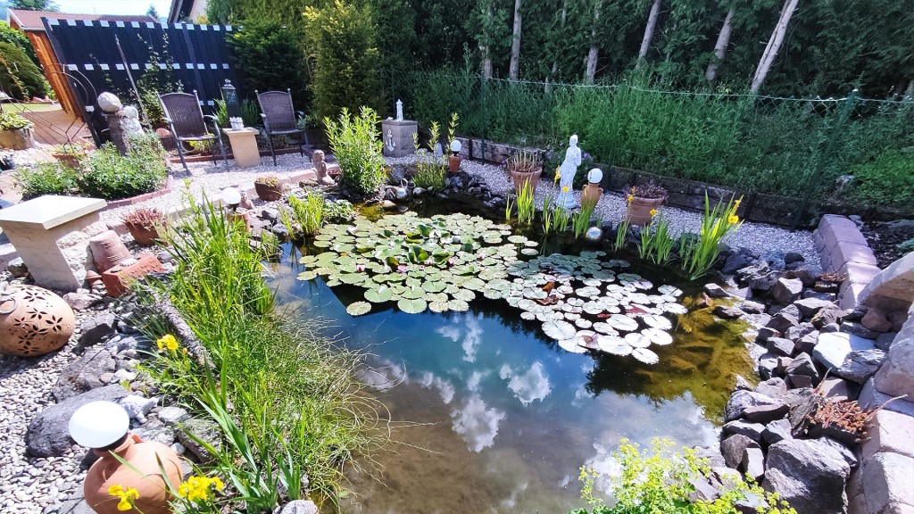 Ein Bild von einem blühenden Garten im Frühling
