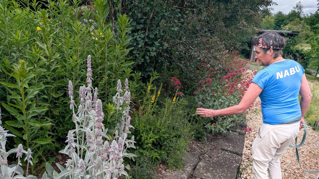 Corinna Heyer im NABU Garten in Losheim
