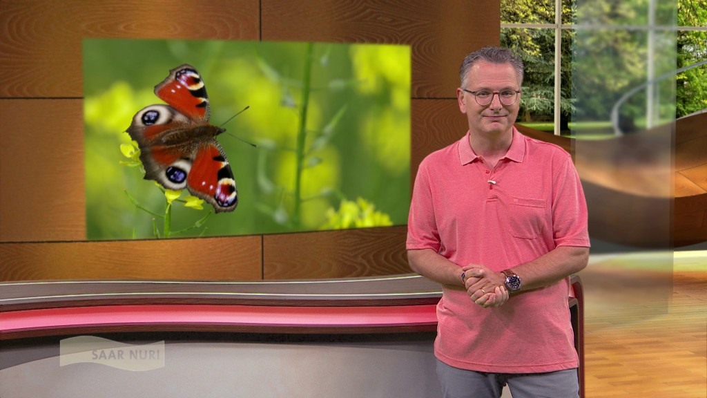 Foto: Michael Friemel im Studio