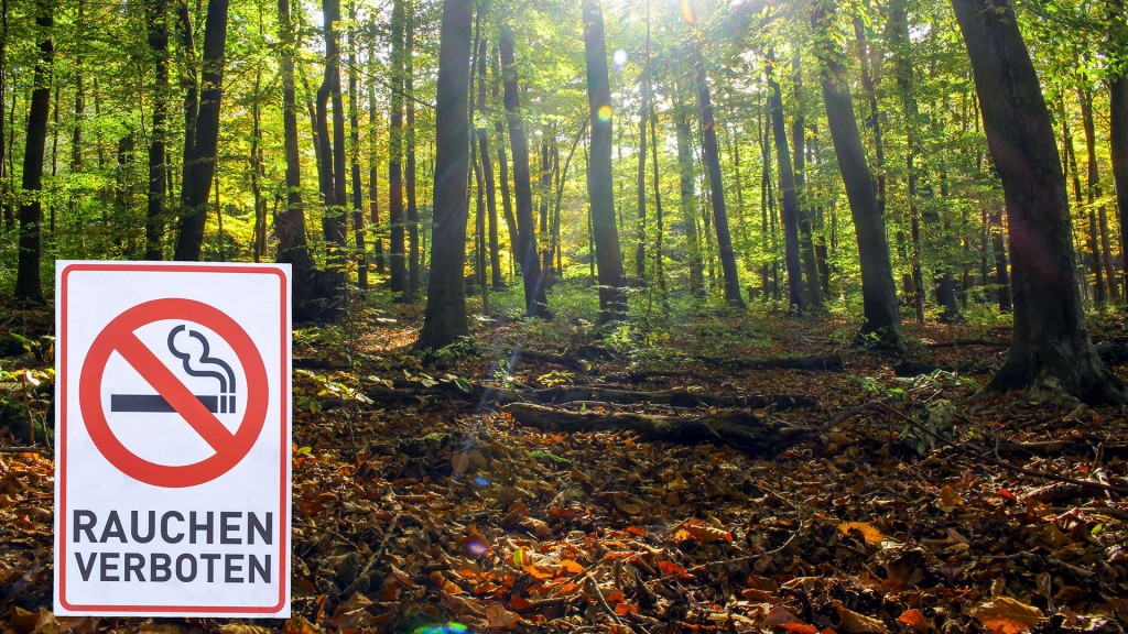 Symbolbild: Ein Schild mit der Aufschrift „Rauchen verboten“ steht vor einem Wald mit hochstehender Sommersonne