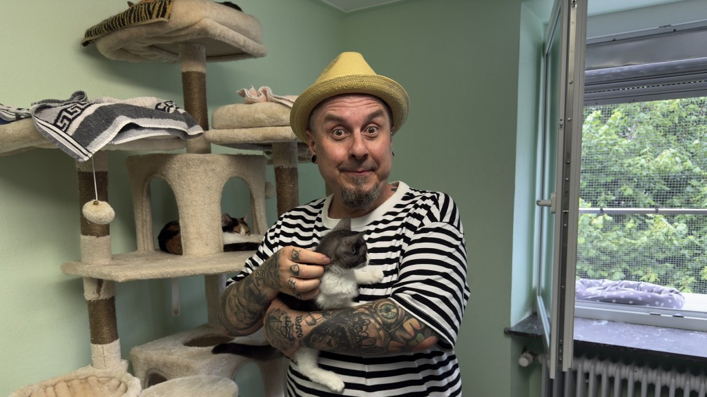Freaky Jörn im Katzenhaus Oberwürzbach