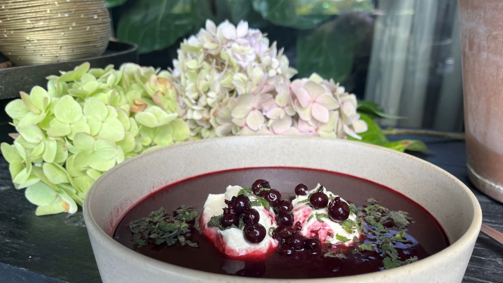 Johannisbeersuppe mit Frischkäsecrème