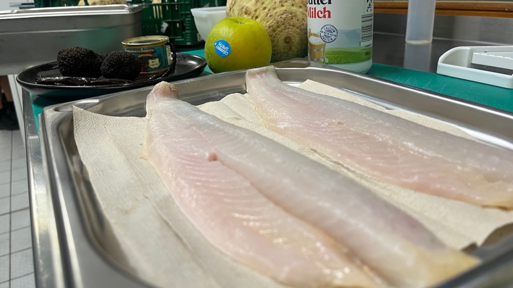 Zanderfilets