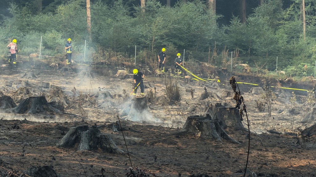 Foto: Löscharbeiten der Feuerwehr bei Waldbrand in Illingen