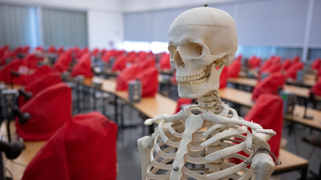 Foto: Ein Skelettmodell steht in einem Mikroskopiersaal.