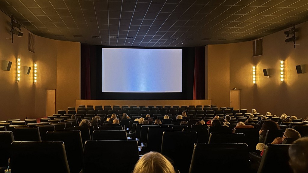 Menschen sitzen in einem Kino.
