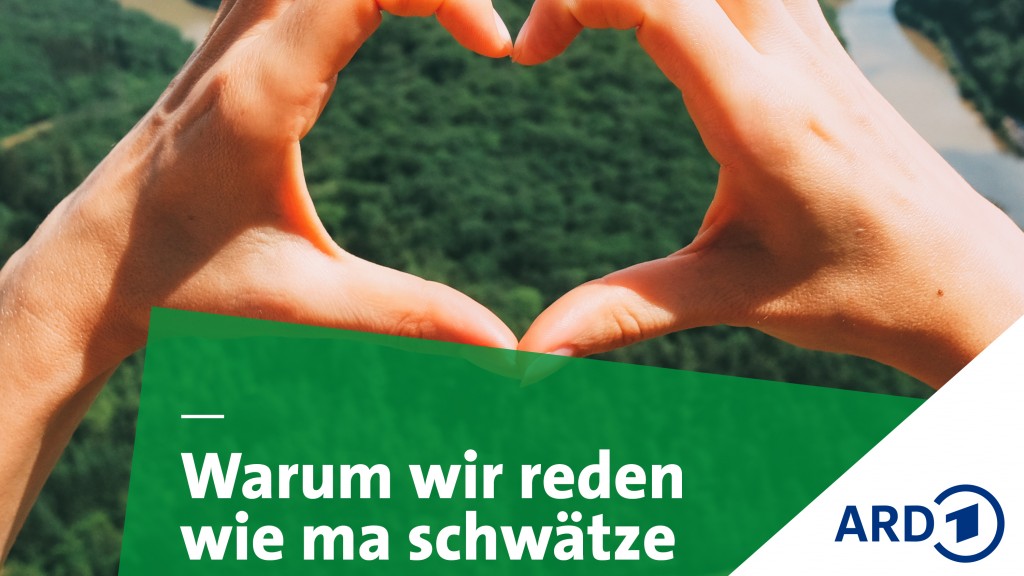Grafik SR Warum wir so reden
