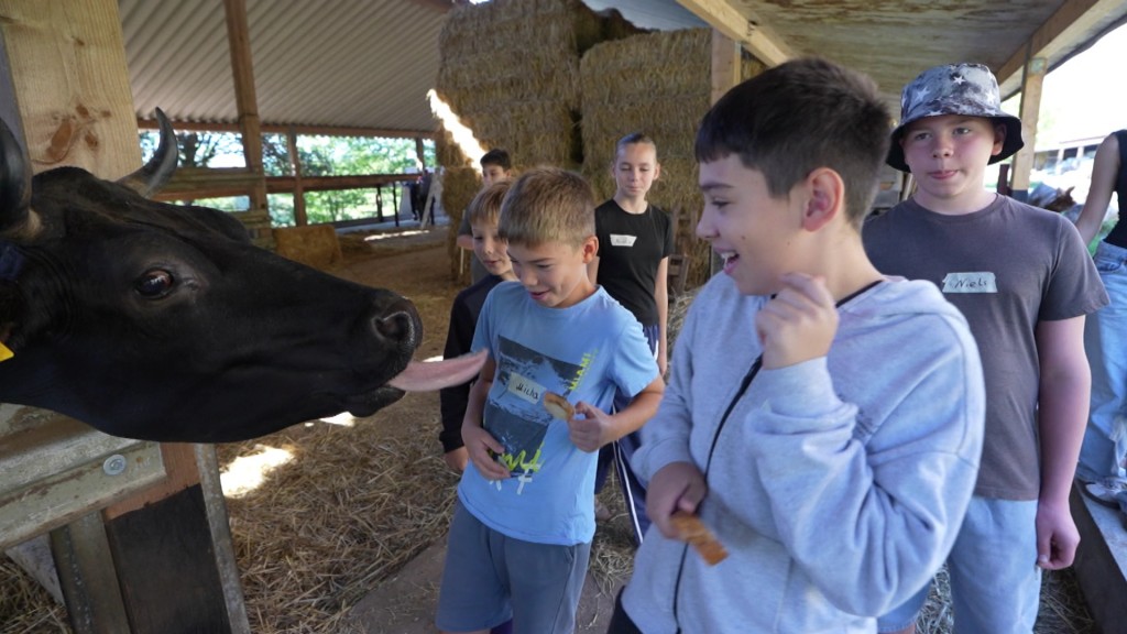 Foto: Kinder mit einer Kuh im Stall.