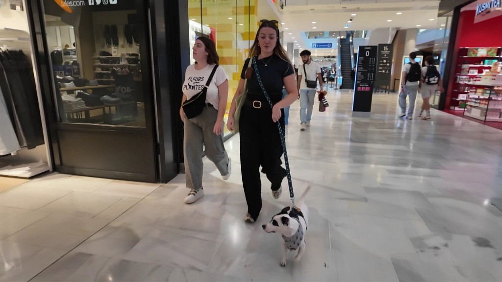 Foto: In Metz sind Hunde auch im Einkaufszentrum willkommen.