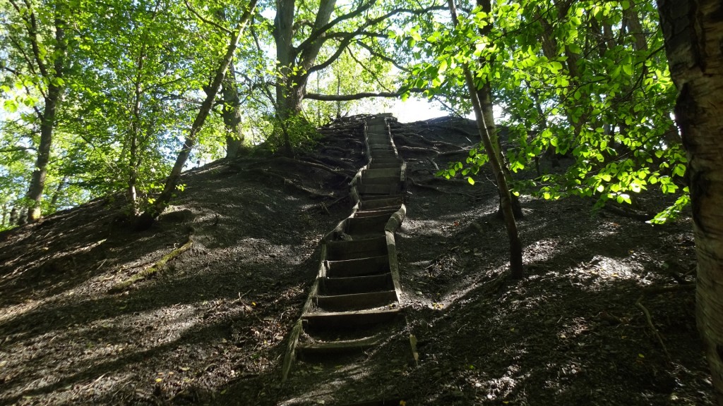 Halde Fudji