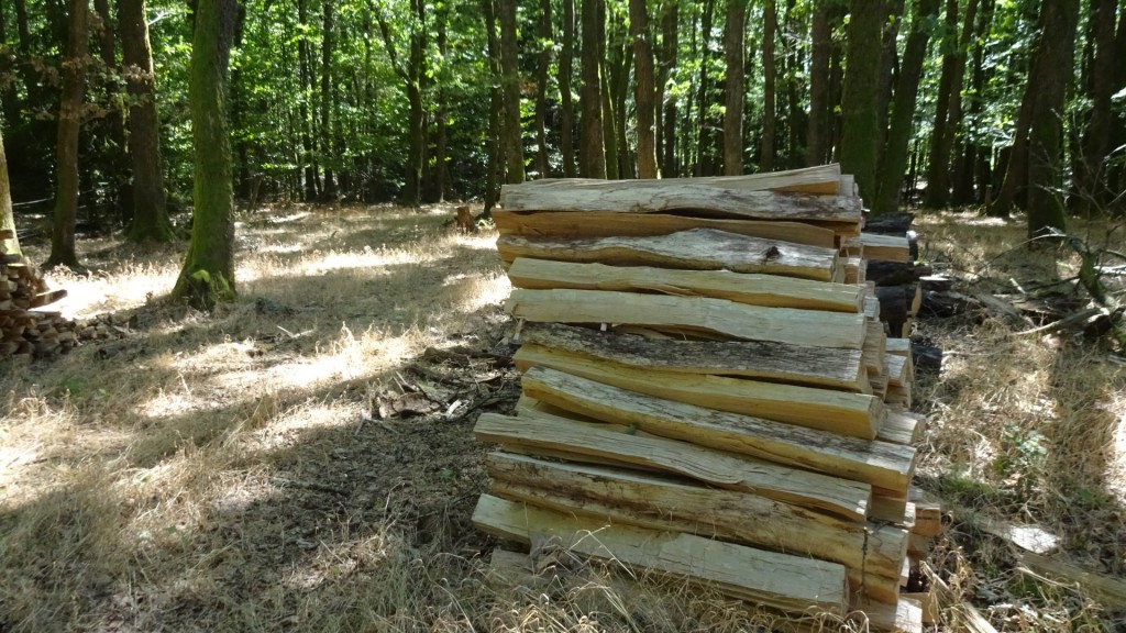 Gestapeltes Holz in einem Wald