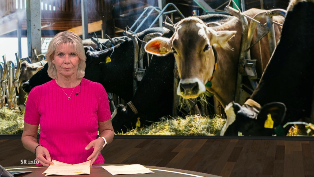 Foto: Simone Blaß im Studio