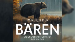 Buchtitel
