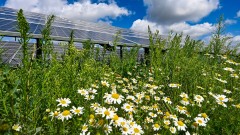 Solarpark - Natur