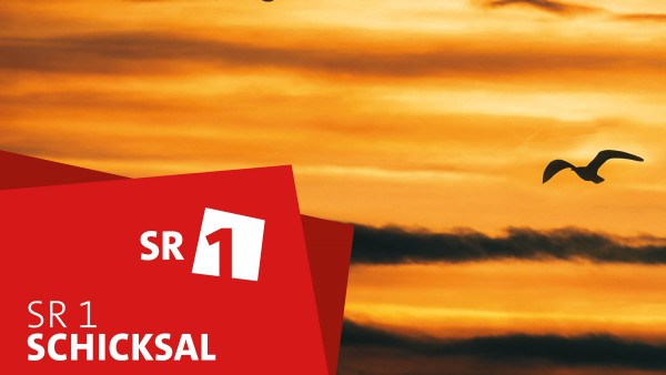 Schicksal - der SR1-Podcast über das Leben