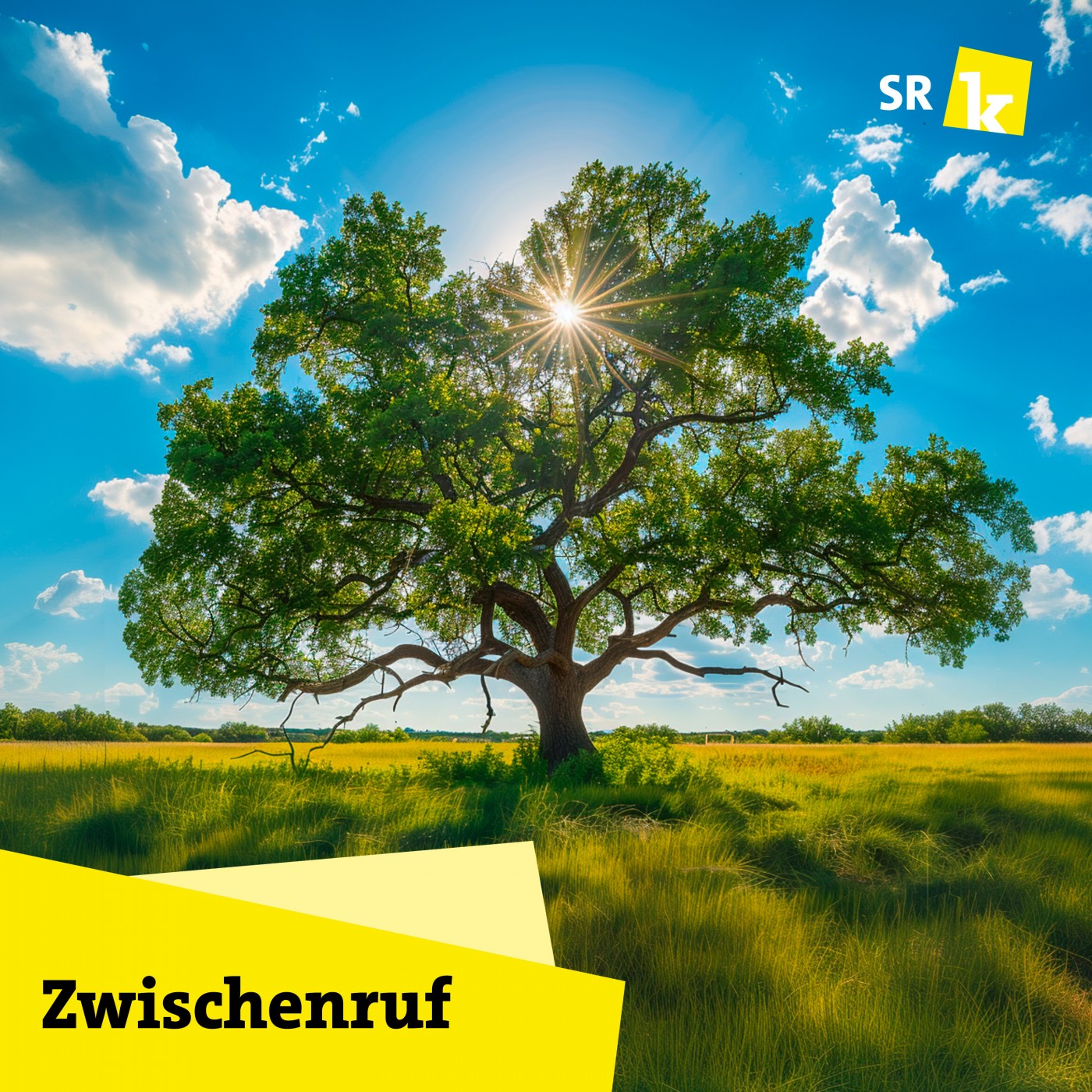 Zwischenruf