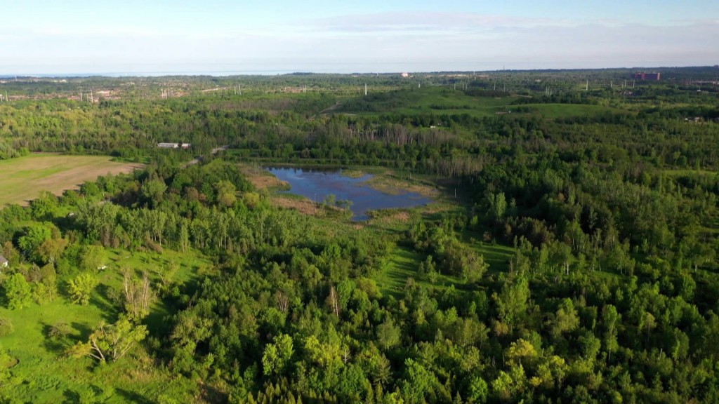 Foto: Nationalparks Toronto