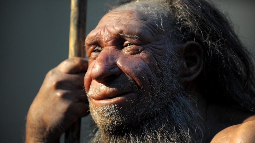 Die Nachbildung eines älteren Neandertalers im Neanderthal-Museum in Mettmann (Foto: picture alliance / Federico Gambarini/dpa | Federico Gambarini)