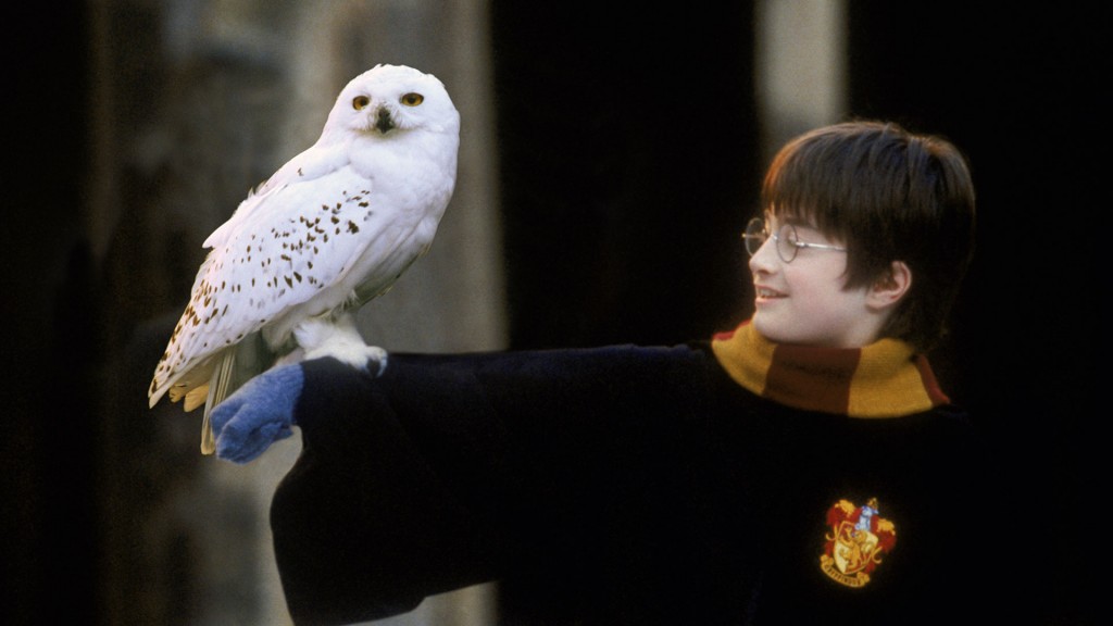 Der junge Daniel Radcliffe als Harry Potter (Foto: Warner Bros.)