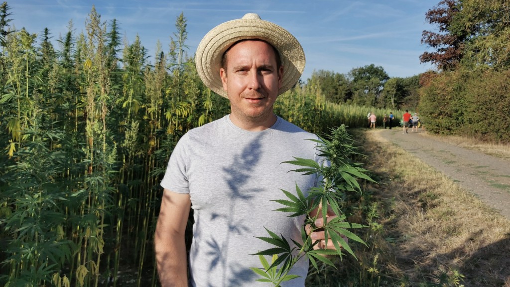 Steffen Krauser mit einer Cannabis Pflanze in der Hand