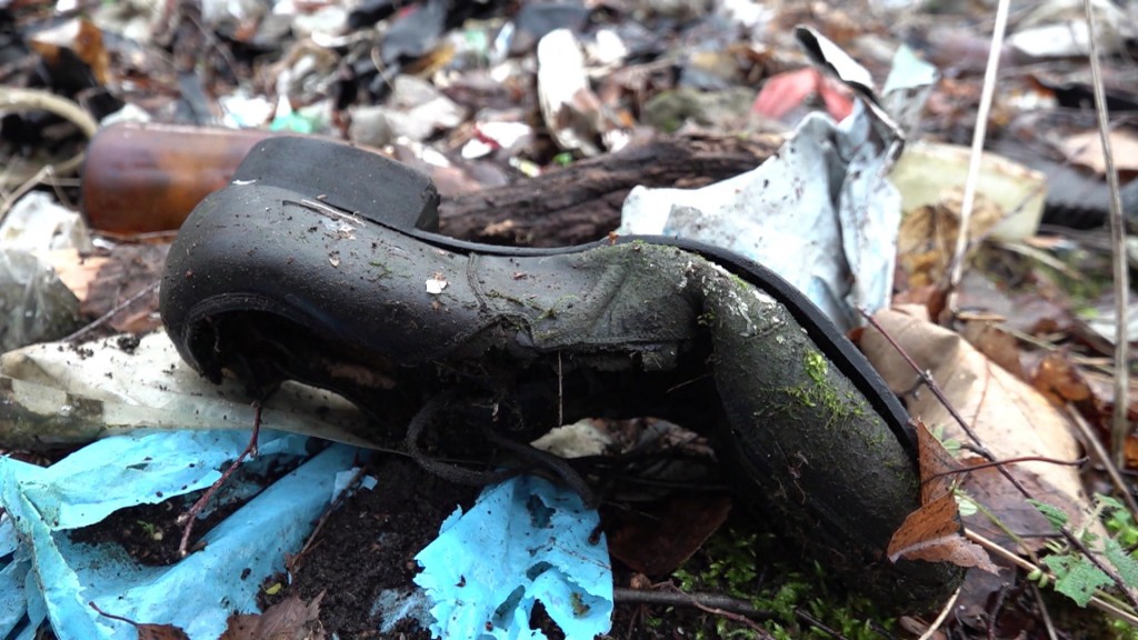 Foto: Im Wald abgelagerter Müll