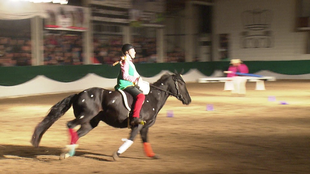 Foto: Reiterin auf einem Pferd