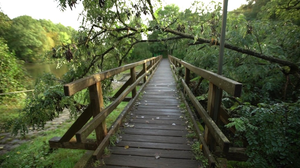 Foto: Eine Brücke im Wald
