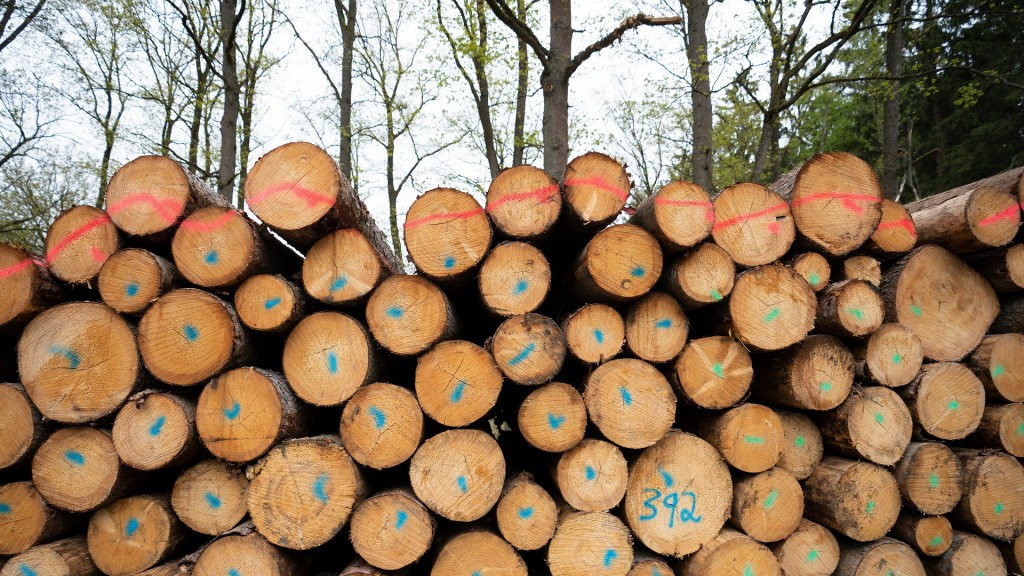 Foto: Holzeinschlag. Stapel aus frisch geschlagenen Baumstämmen.