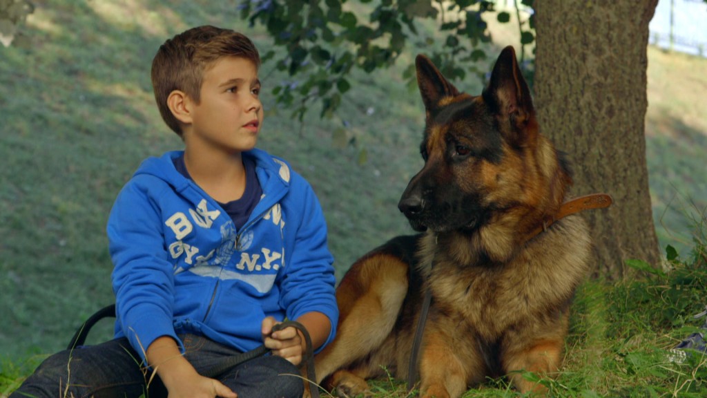 Foto: Ako mit seinem Hund Cézar
