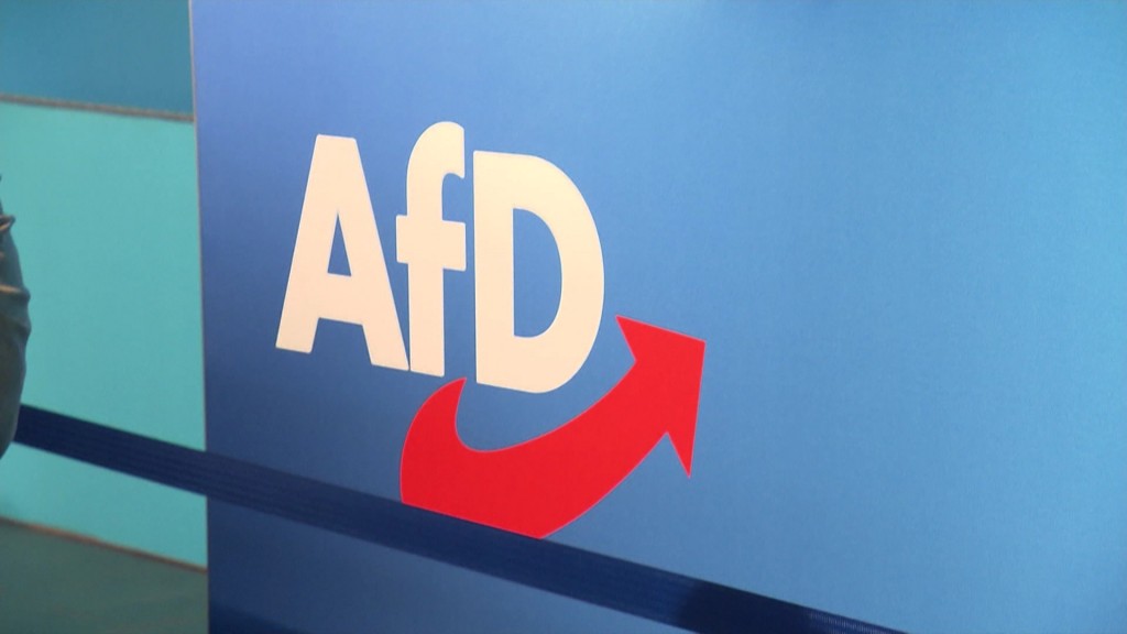 Foto: AfD Logo