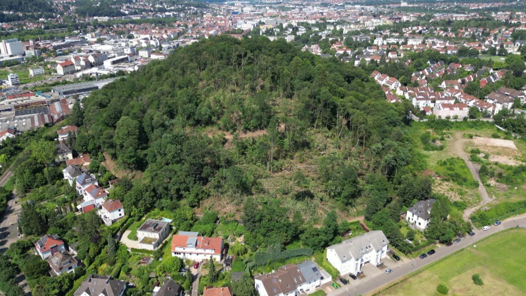 Foto: Kaninchenberg Wald von oben nach Windhose