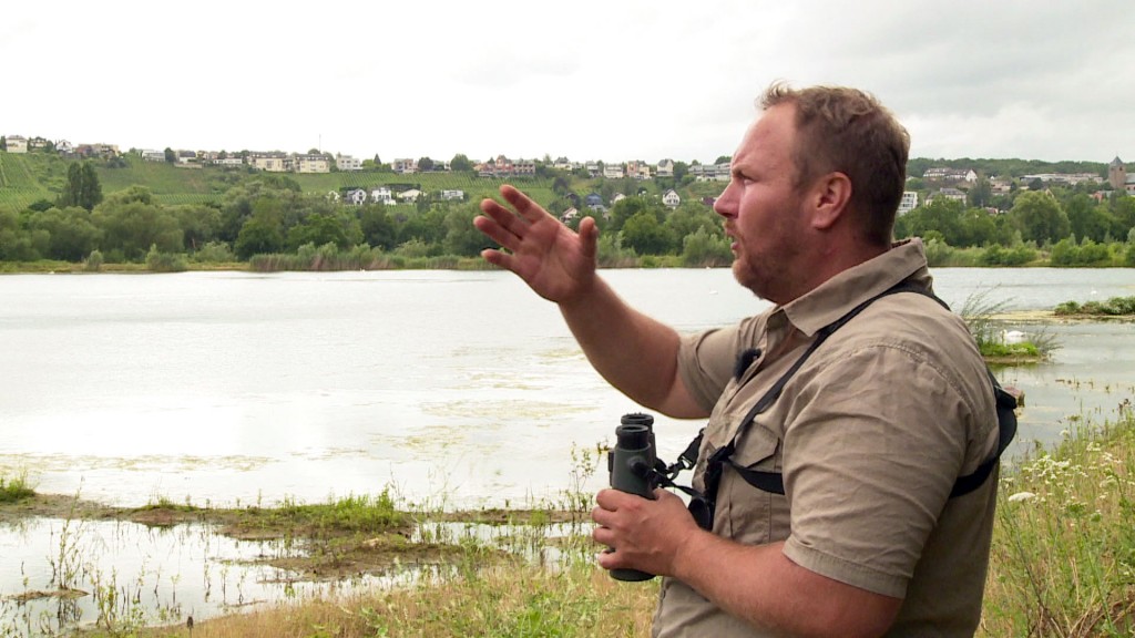 Foto: Der Biogeograph Rolf Klein an der Mosel-Aue