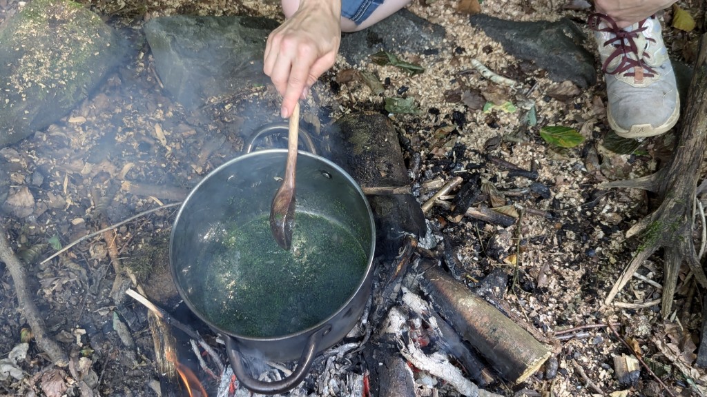 Zubereitung Wasserlinsen