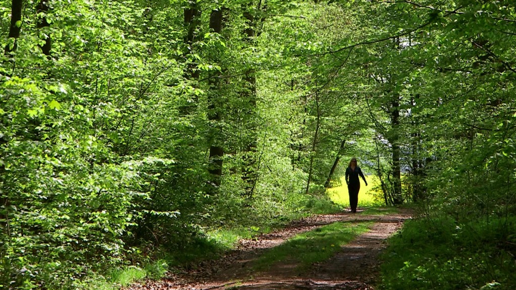 Eine Wandererin im Wald