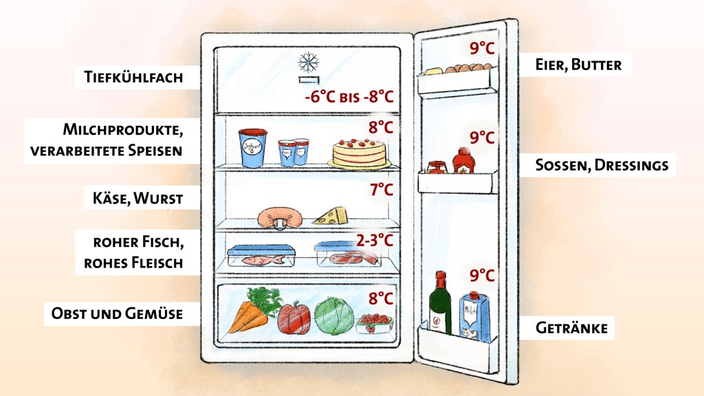 Grafik: Richtige Lagerung im Kühlschrank