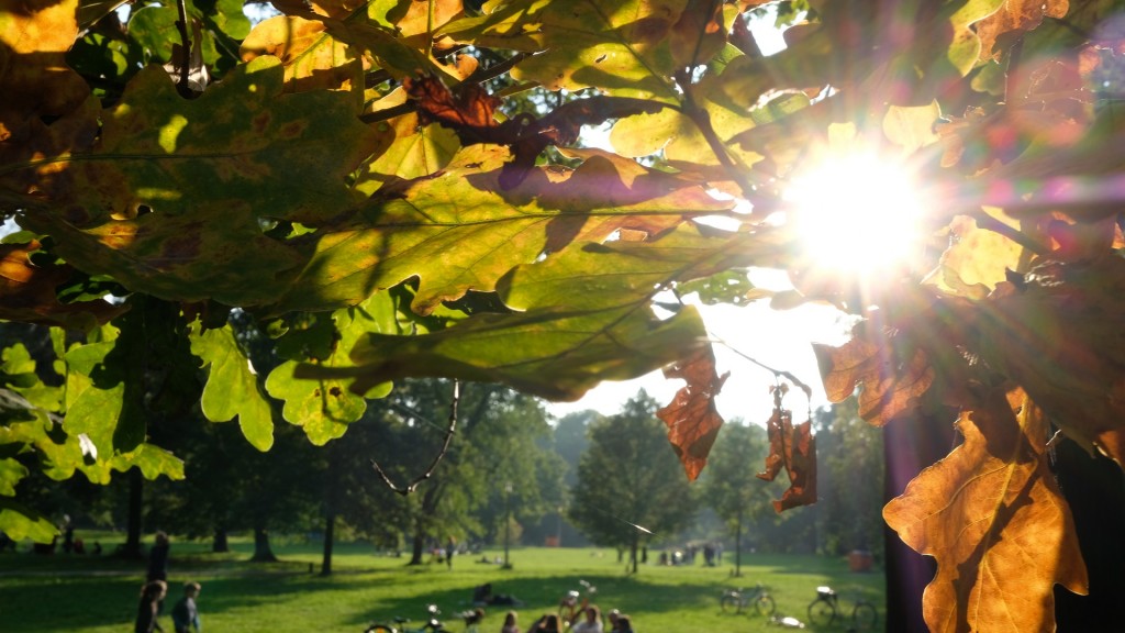 An einem Spätsommertag sitzen Menschen in einem Park auf der Wiese.