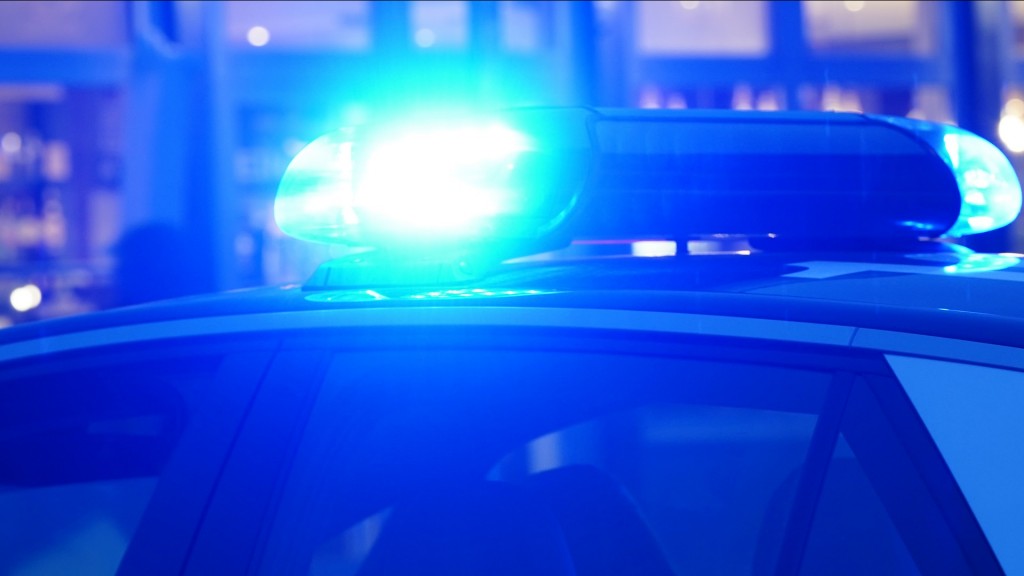 Ein Blaulicht leuchtet auf dem Dach eines Polizeiautos