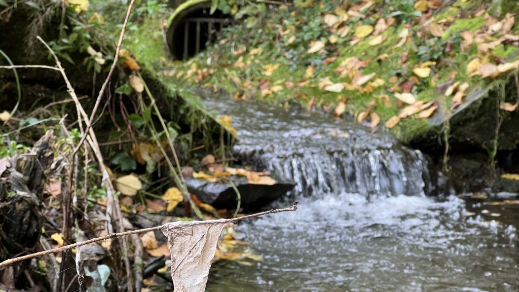 Verschmutzung in der Theel