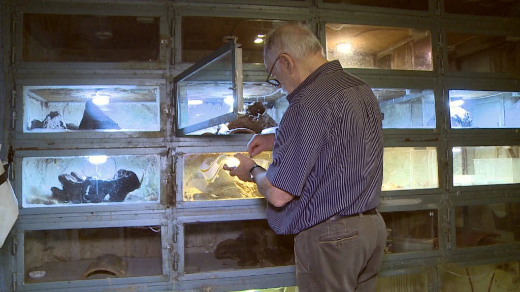 Schlangenexperte Bernd Naumann vor seinen Terrarien