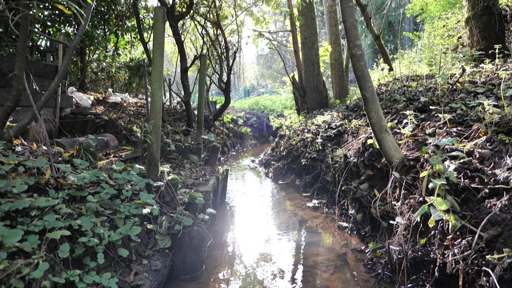 Foto: Kleiner Bach in Niederwürzbach