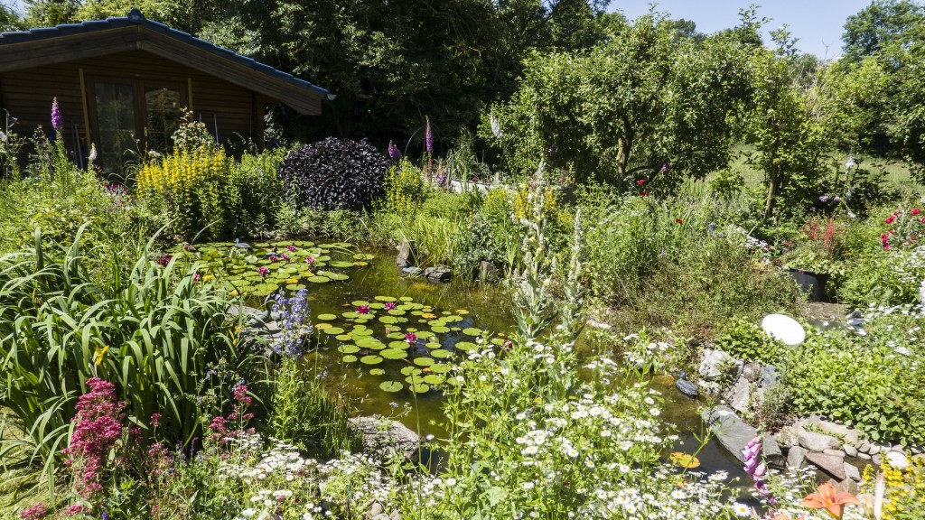 Bunter Blumengarten um einen Gartenteich