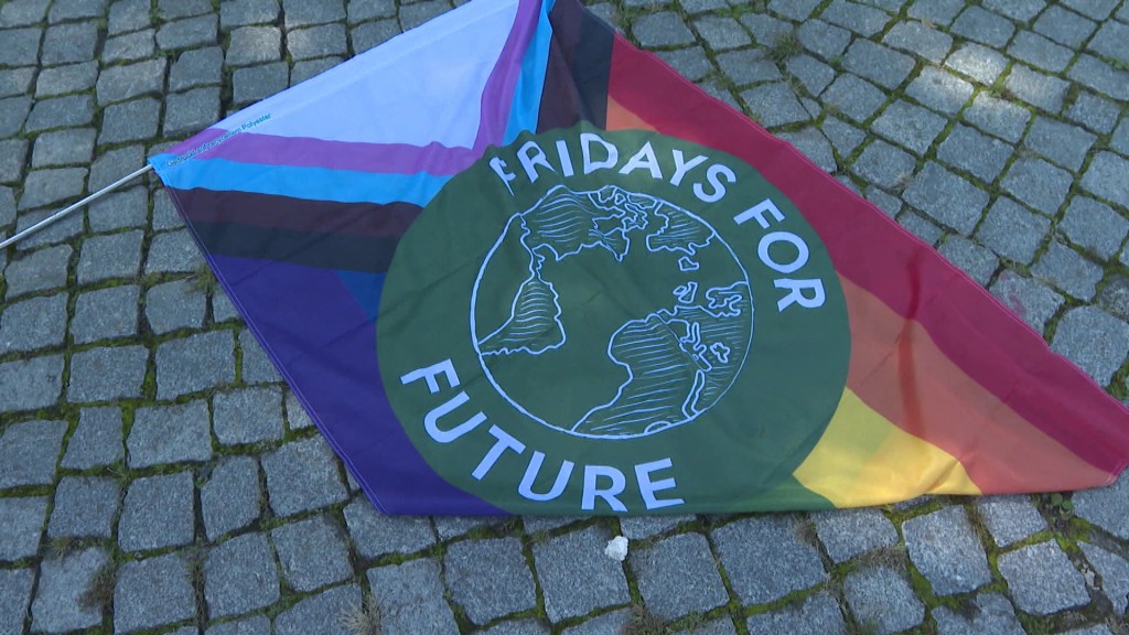 Fridays for Future Fahne