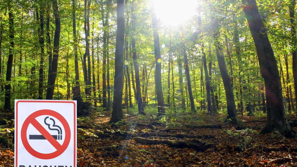 Foto: Symbolbild: Ein Schild mit der Aufschrift „Rauchen verboten“ steht vor einem Wald mit hochstehender Sommersonne