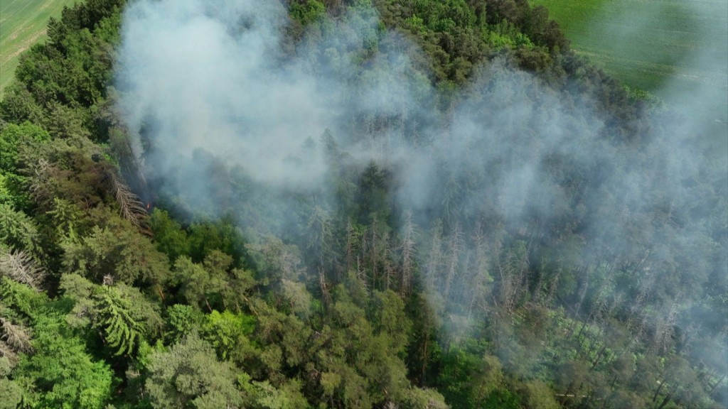 Foto: Waldbrand von oben 