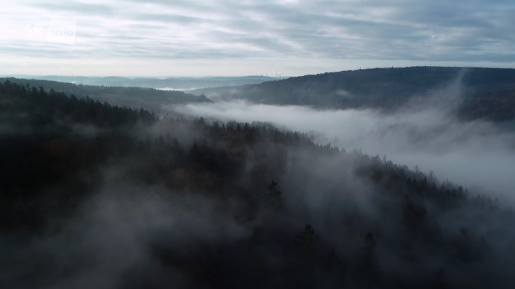 Foto: Nationalpark Hunsrück-Hochwald von oben