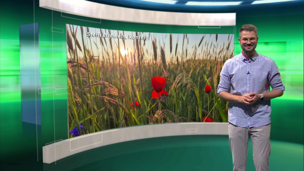 Foto: Jonas Degen im Studio