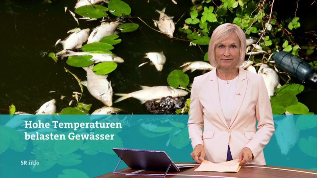 Foto: Verena Bisle im Studio