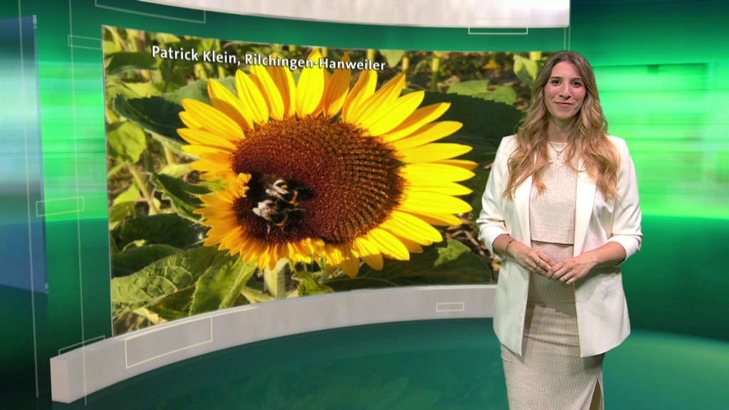 Foto: Lisa Daun im Studio